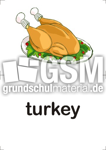 turkey.pdf